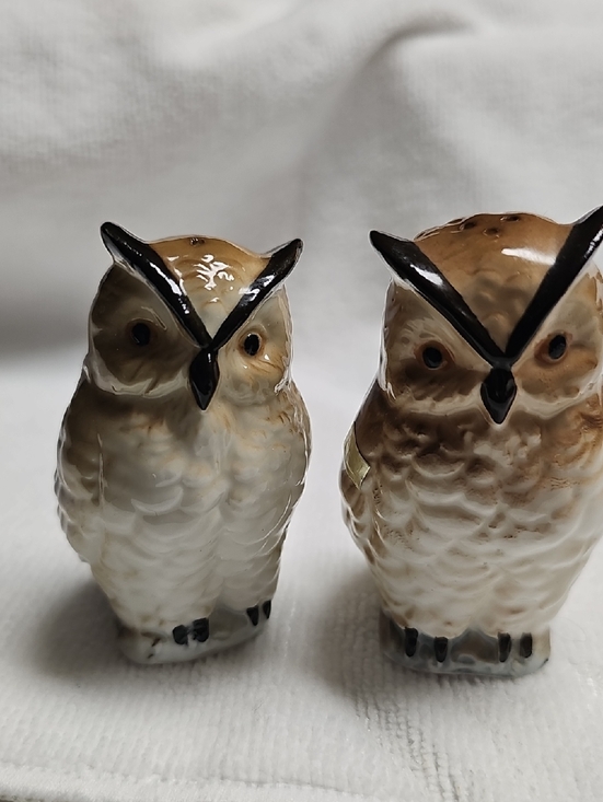 Other - Vintage Hand-Painted Ceramic Owl Salt & Pepper Set - Brown and Cream